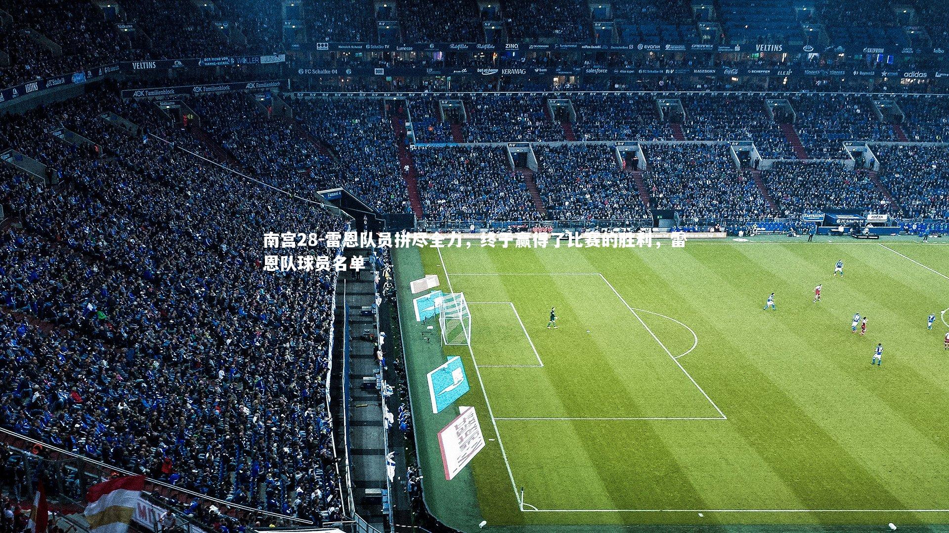 雷恩队员拼尽全力,终于赢得了比赛的胜利,雷恩队球员名单